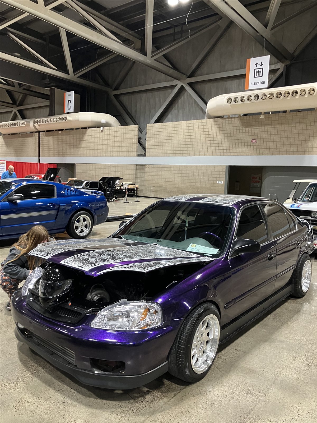 Big Purp gallery photo